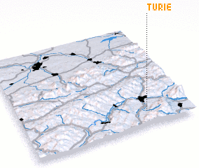 3d view of Turie