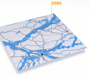 3d view of Koho