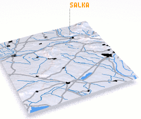 3d view of Salka