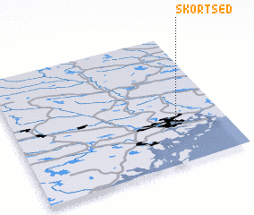 3d view of Skortsed