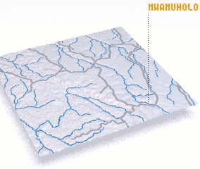 3d view of Mwamuholo