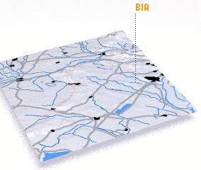 3d view of Bia