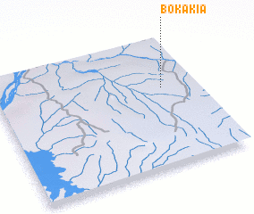3d view of Bokakia