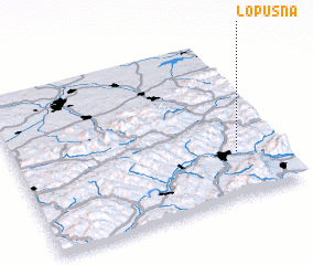 3d view of Lopušná