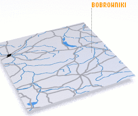3d view of Bobrowniki