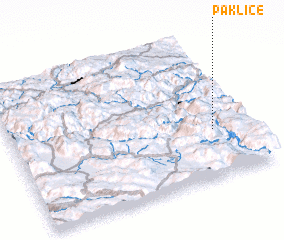 3d view of Paklice