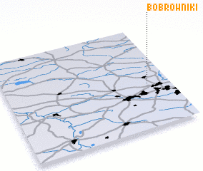 3d view of Bobrowniki