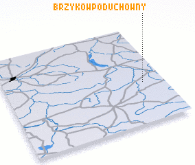 3d view of Brzyków Poduchowny