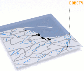 3d view of Boręty