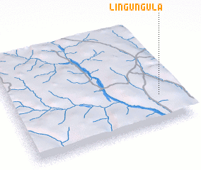 3d view of Lingungula