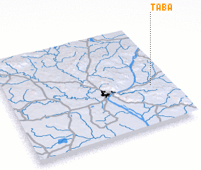 3d view of Taba