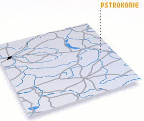 3d view of Pstrokonie