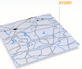 3d view of Rysiny