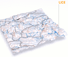 3d view of Lice