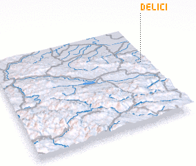 3d view of Delići