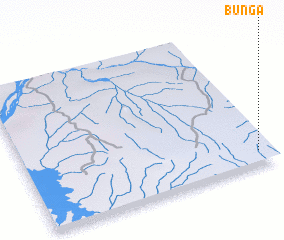 3d view of Bunga