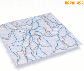 3d view of Kapakasa