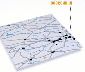 3d view of Bobrowniki