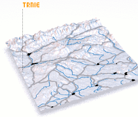 3d view of Trnie