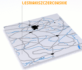 3d view of Leśniaki Szczercowskie