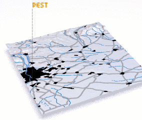 3d view of Pest