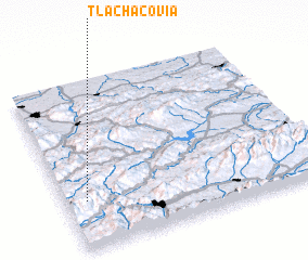 3d view of Tlachačovia