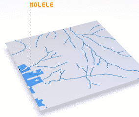 3d view of Molele