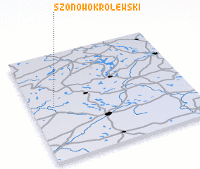 3d view of Szonowo Królewski