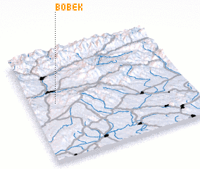 3d view of Bobek