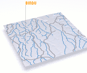 3d view of Bindu
