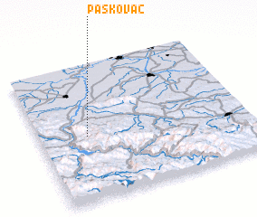 3d view of Paskovac