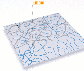 3d view of Libobi