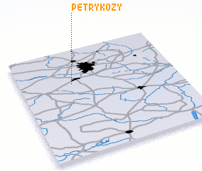 3d view of Petrykozy