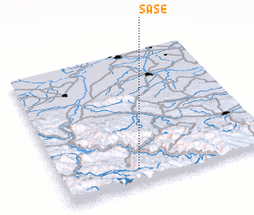 3d view of Sase