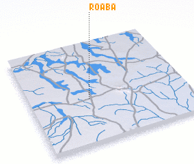 3d view of Roaba