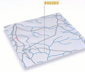 3d view of Bokoro