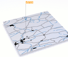 3d view of Niwki