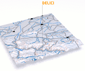 3d view of Delići