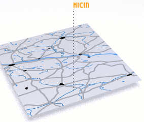 3d view of Micin