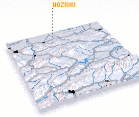 3d view of Wożniki