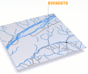 3d view of Bokakata