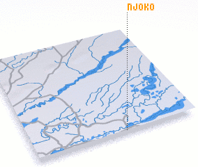 3d view of Njoko