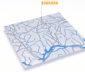 3d view of Boakana