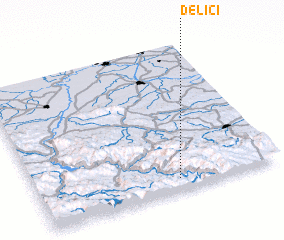 3d view of Delići