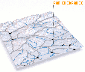 3d view of Panické Dravce