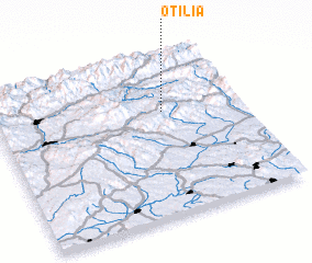 3d view of Otilia