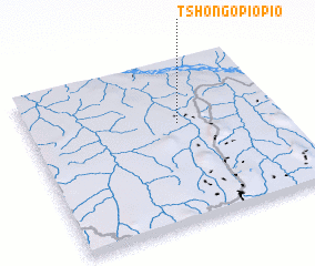 3d view of Tshongopiopio