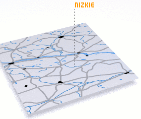 3d view of Nizkie