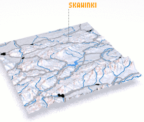 3d view of Skawinki