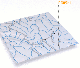 3d view of Ngashi